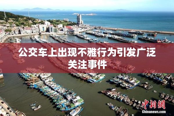 公交车上出现不雅行为引发广泛关注事件