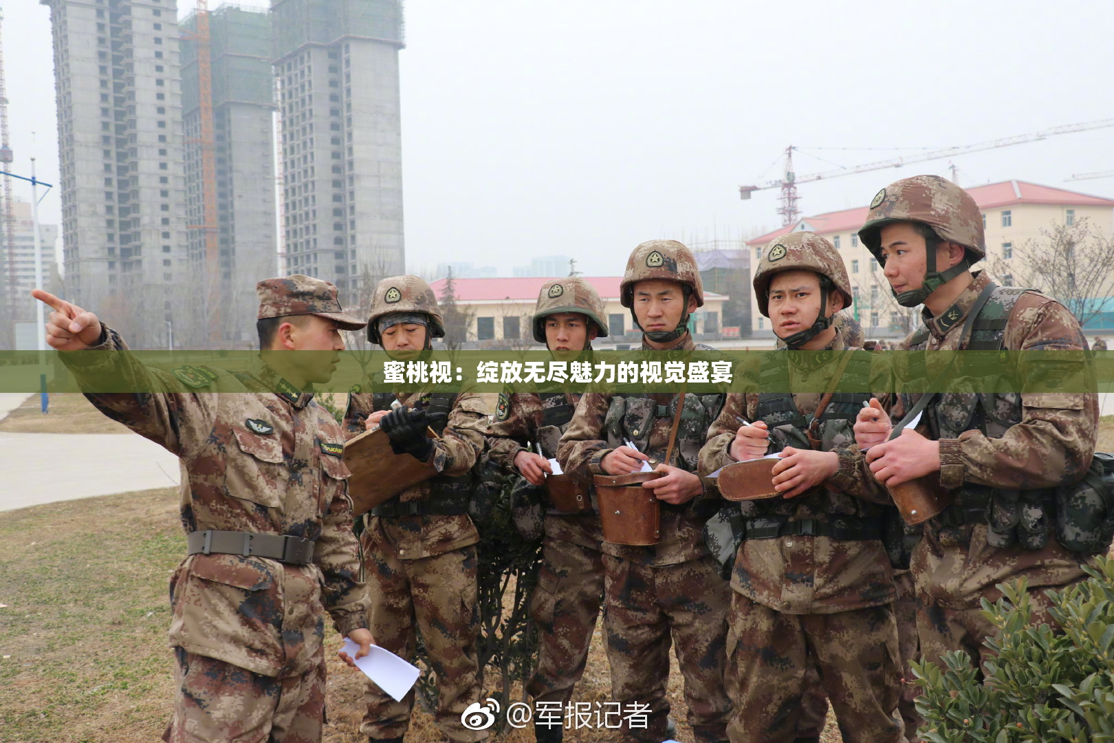 蜜桃视：绽放无尽魅力的视觉盛宴