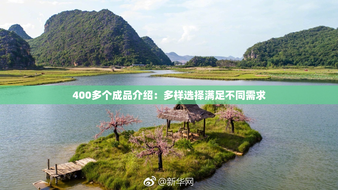 400多个成品介绍：多样选择满足不同需求