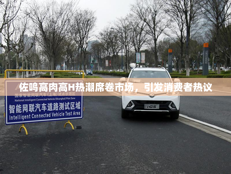 佐鸣高肉高H热潮席卷市场，引发消费者热议