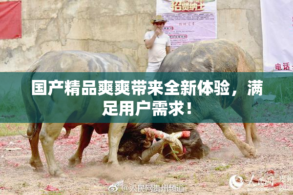 国产精品爽爽带来全新体验，满足用户需求！