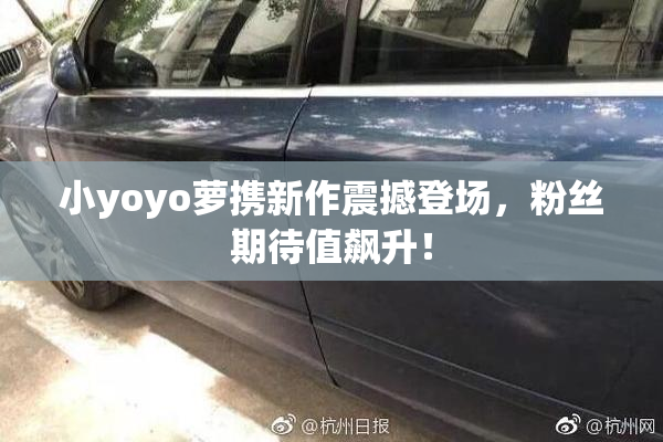 小yoyo萝携新作震撼登场，粉丝期待值飙升！