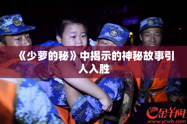 《少萝的秘》中揭示的神秘故事引人入胜