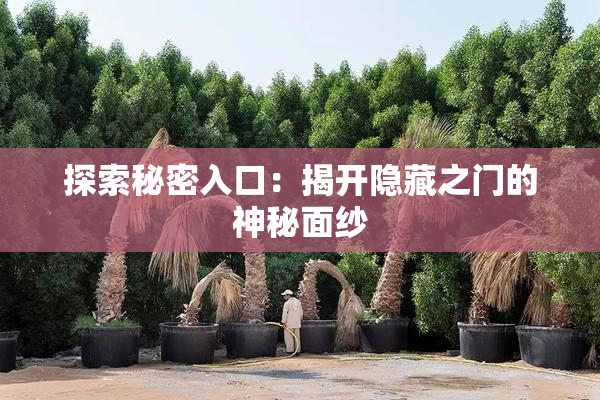 探索秘密入口：揭开隐藏之门的神秘面纱