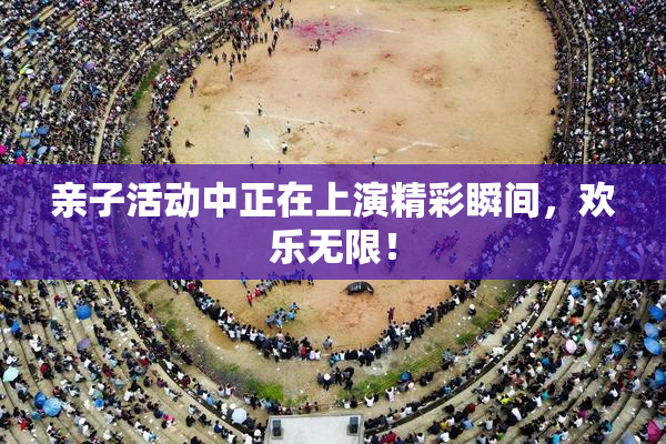 亲子活动中正在上演精彩瞬间，欢乐无限！