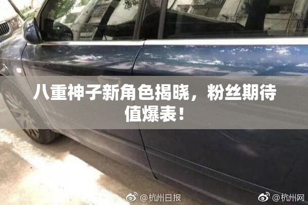 八重神子新角色揭晓，粉丝期待值爆表！