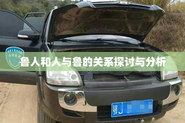 鲁人和人与鲁的关系探讨与分析