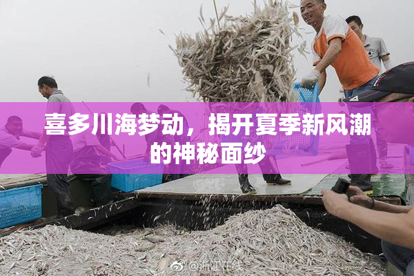 喜多川海梦动，揭开夏季新风潮的神秘面纱