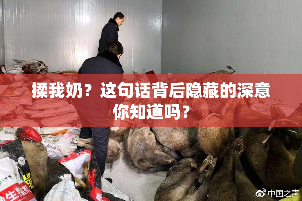 揉我奶？这句话背后隐藏的深意你知道吗？