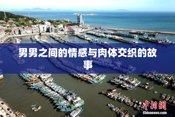 男男之间的情感与肉体交织的故事