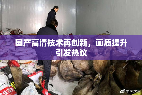 国产高清技术再创新，画质提升引发热议