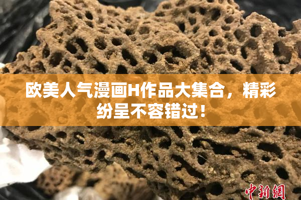 欧美人气漫画H作品大集合，精彩纷呈不容错过！