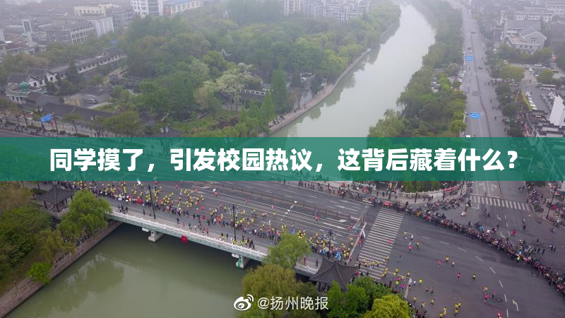 同学摸了，引发校园热议，这背后藏着什么？