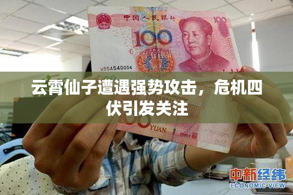 云霄仙子遭遇强势攻击，危机四伏引发关注