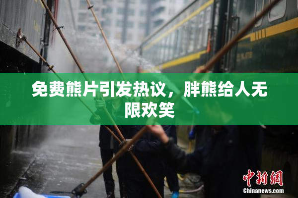 免费熊片引发热议，胖熊给人无限欢笑