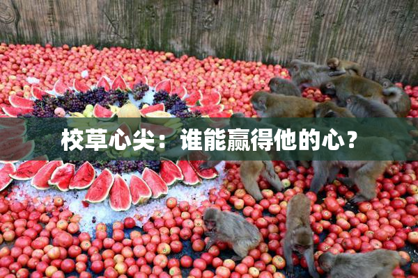 校草心尖：谁能赢得他的心？