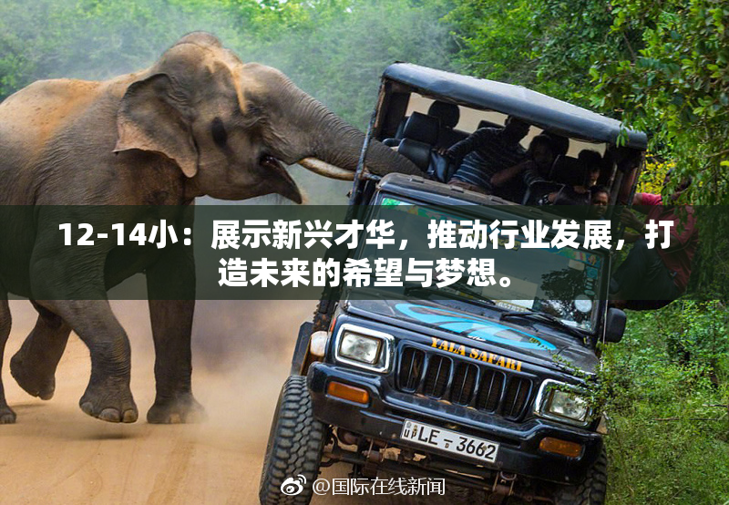 12-14小：展示新兴才华，推动行业发展，打造未来的希望与梦想。