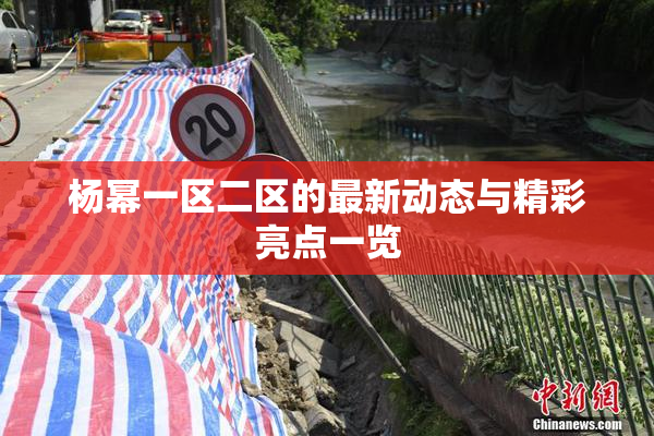 杨幂一区二区的最新动态与精彩亮点一览