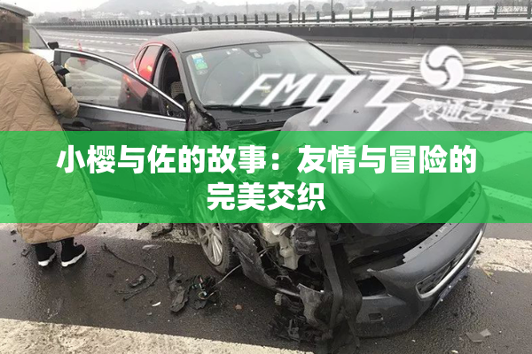 小樱与佐的故事：友情与冒险的完美交织