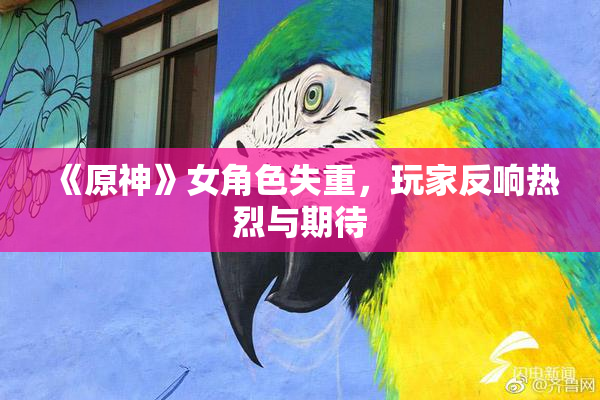 《原神》女角色失重，玩家反响热烈与期待