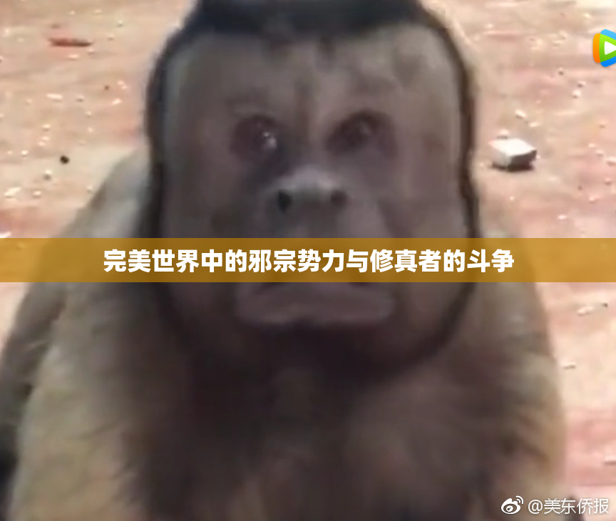 完美世界中的邪宗势力与修真者的斗争