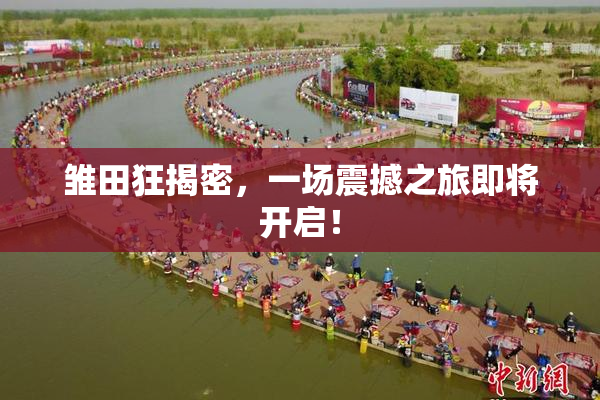 雏田狂揭密，一场震撼之旅即将开启！