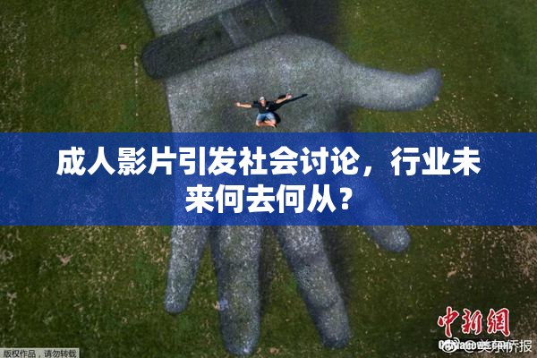 成人影片引发社会讨论，行业未来何去何从？
