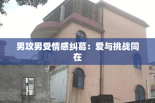 男攻男受情感纠葛：爱与挑战同在