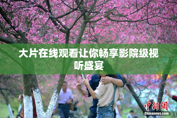 大片在线观看让你畅享影院级视听盛宴
