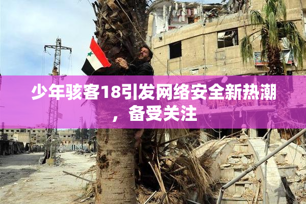 少年骇客18引发网络安全新热潮，备受关注