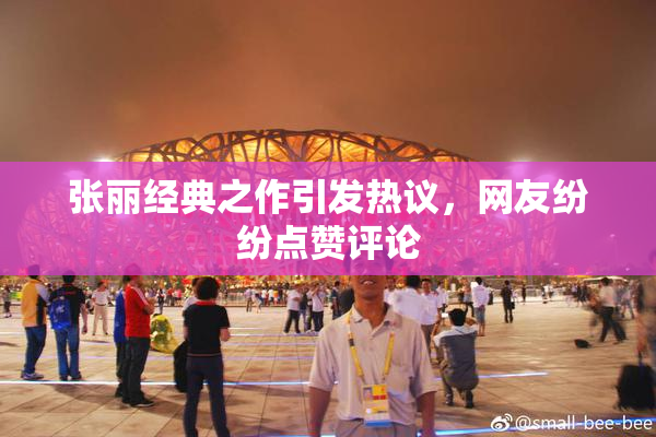 张丽经典之作引发热议，网友纷纷点赞评论