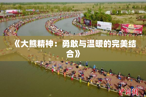 《大熊精神：勇敢与温暖的完美结合》