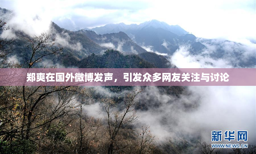 郑爽在国外微博发声，引发众多网友关注与讨论