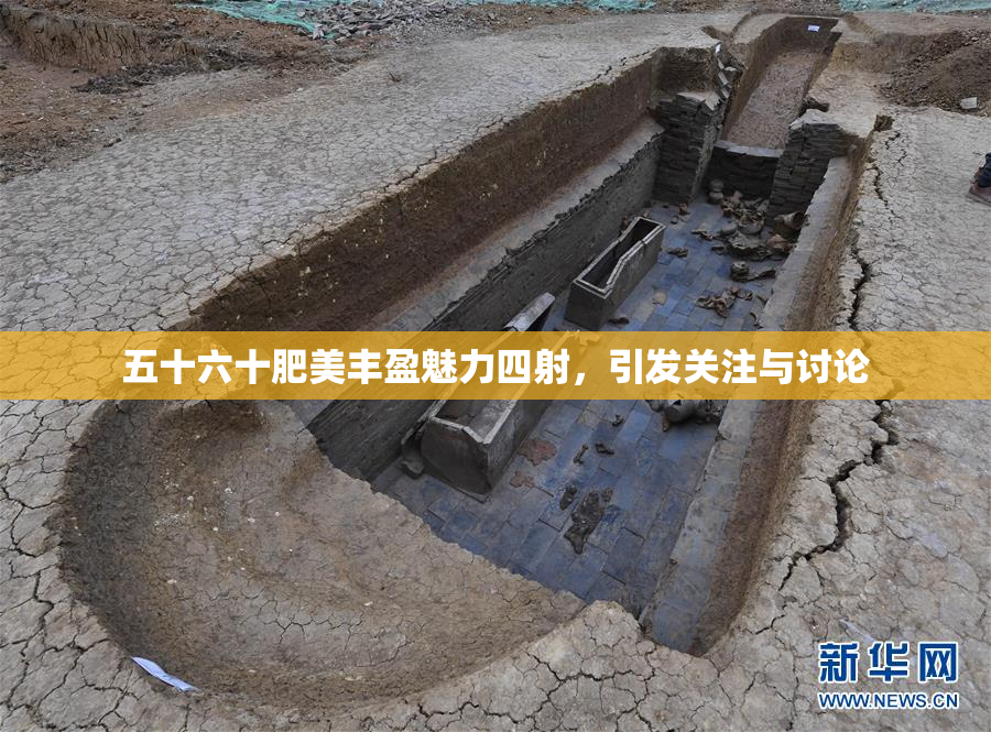 五十六十肥美丰盈魅力四射，引发关注与讨论