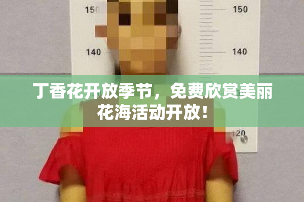 丁香花开放季节，免费欣赏美丽花海活动开放！