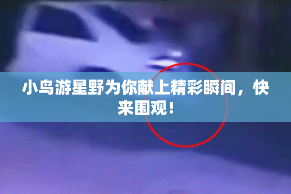 小鸟游星野为你献上精彩瞬间，快来围观！