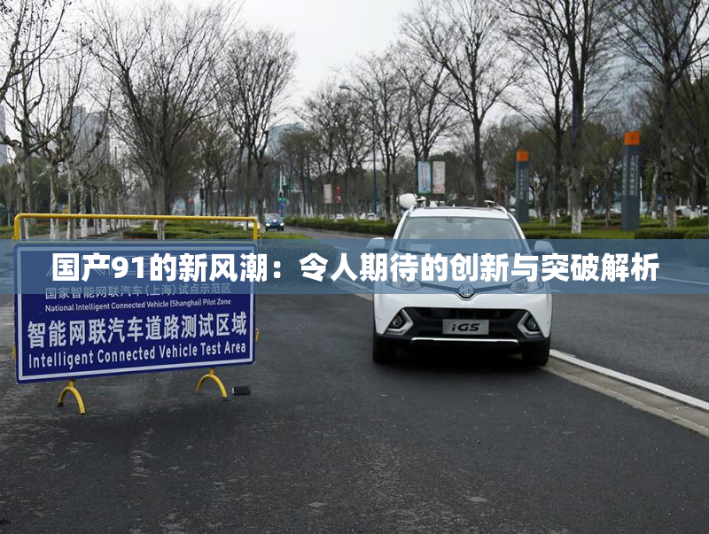 国产91的新风潮：令人期待的创新与突破解析