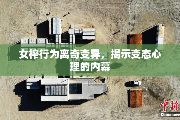 女榨行为离奇变异，揭示变态心理的内幕