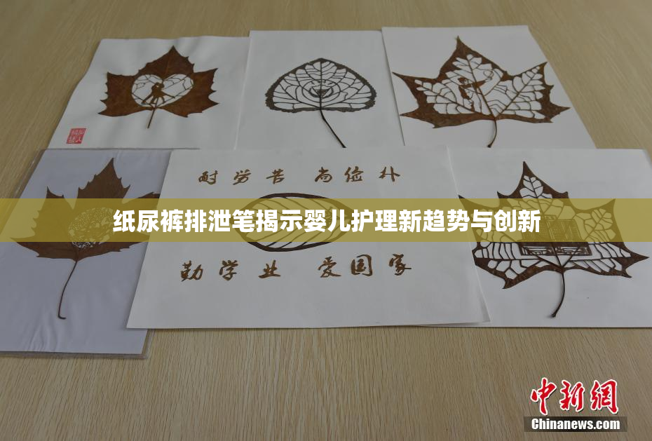 纸尿裤排泄笔揭示婴儿护理新趋势与创新