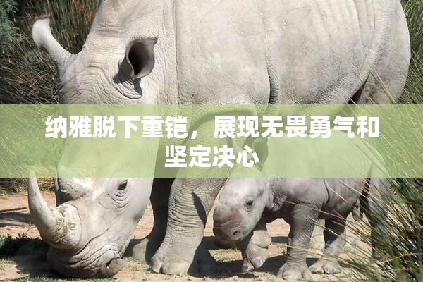 纳雅脱下重铠，展现无畏勇气和坚定决心