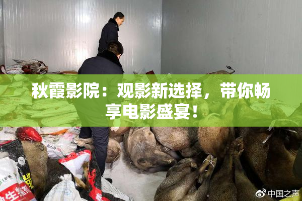 秋霞影院：观影新选择，带你畅享电影盛宴！