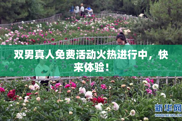双男真人免费活动火热进行中，快来体验！
