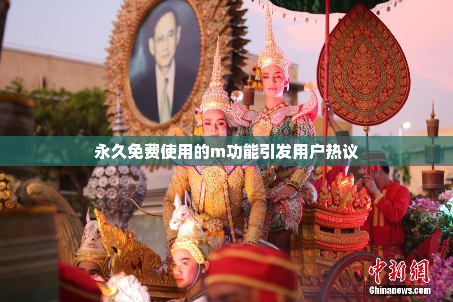 永久免费使用的m功能引发用户热议
