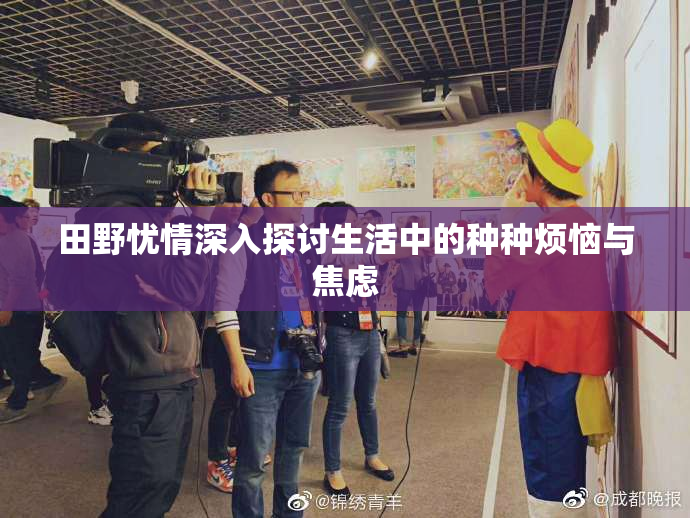 田野忧情深入探讨生活中的种种烦恼与焦虑