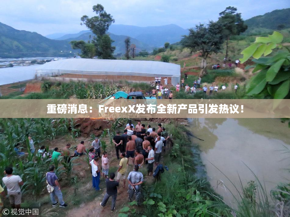 重磅消息：FreexX发布全新产品引发热议！
