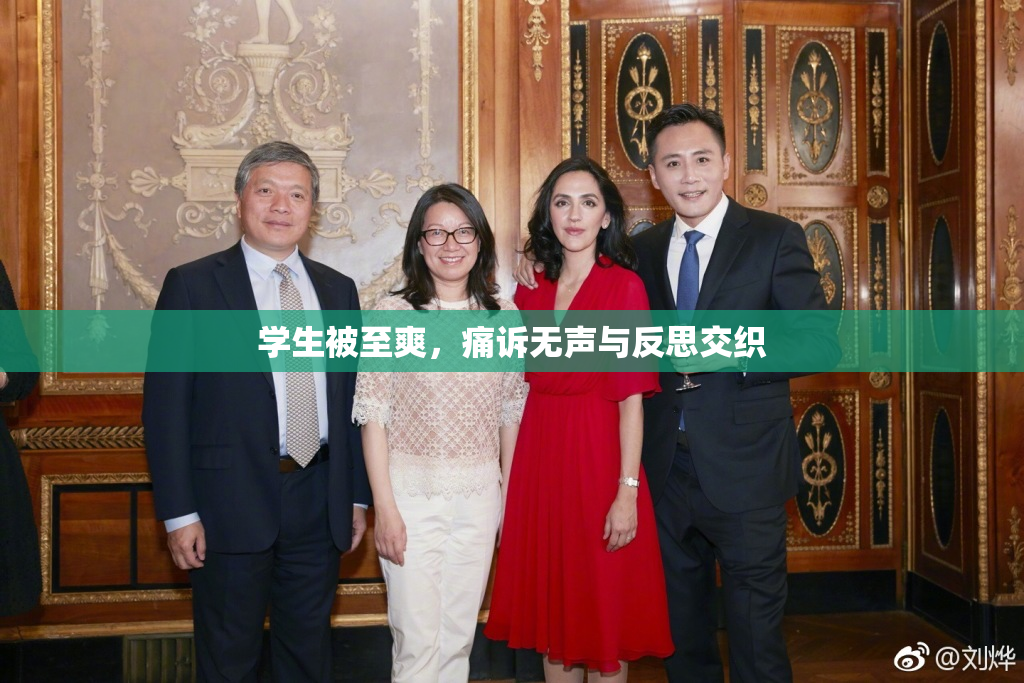 学生被至爽，痛诉无声与反思交织