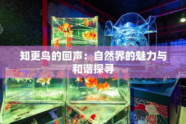 知更鸟的回声：自然界的魅力与和谐探寻