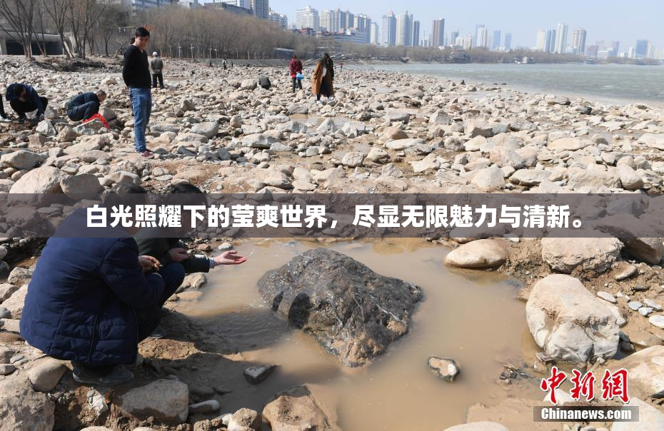 白光照耀下的莹爽世界，尽显无限魅力与清新。