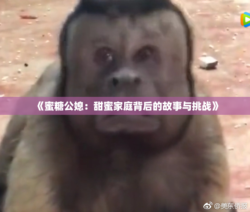 《蜜糖公媳：甜蜜家庭背后的故事与挑战》