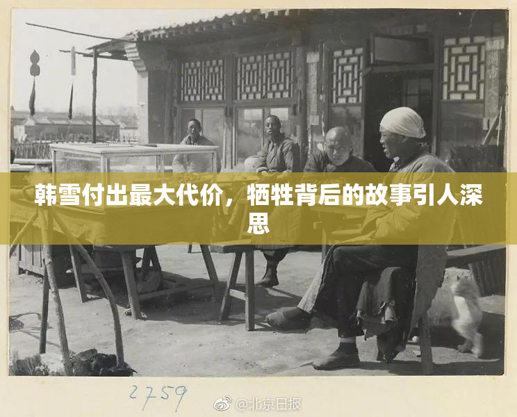 韩雪付出最大代价，牺牲背后的故事引人深思